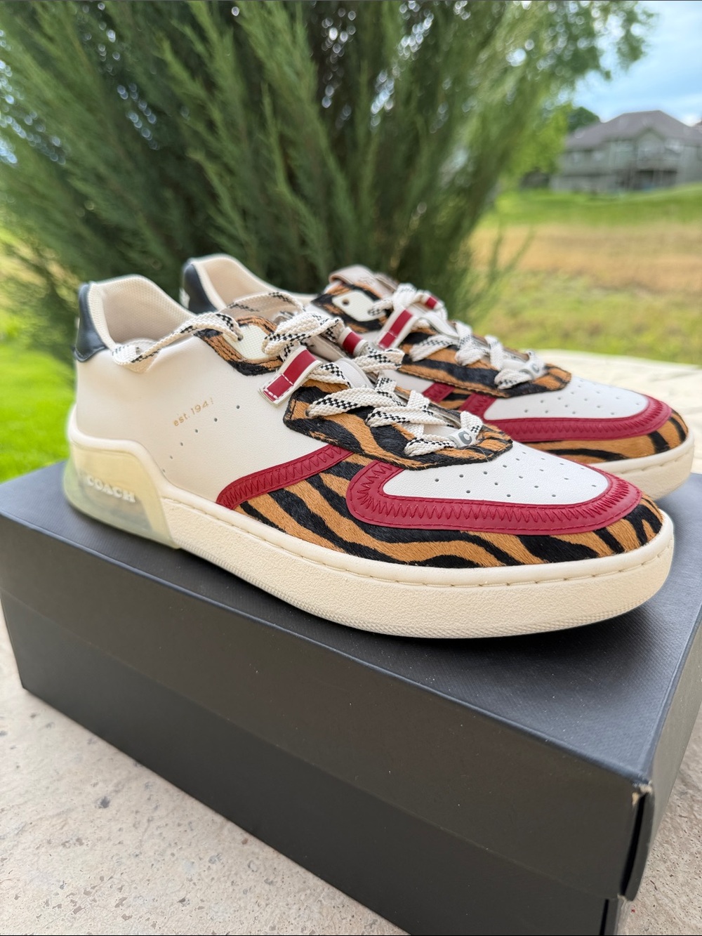 Coach City Sole Hair Court Sneakers NEW in box
